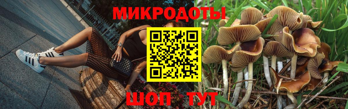 Галлюциногенные грибы мухоморы Новоуральск