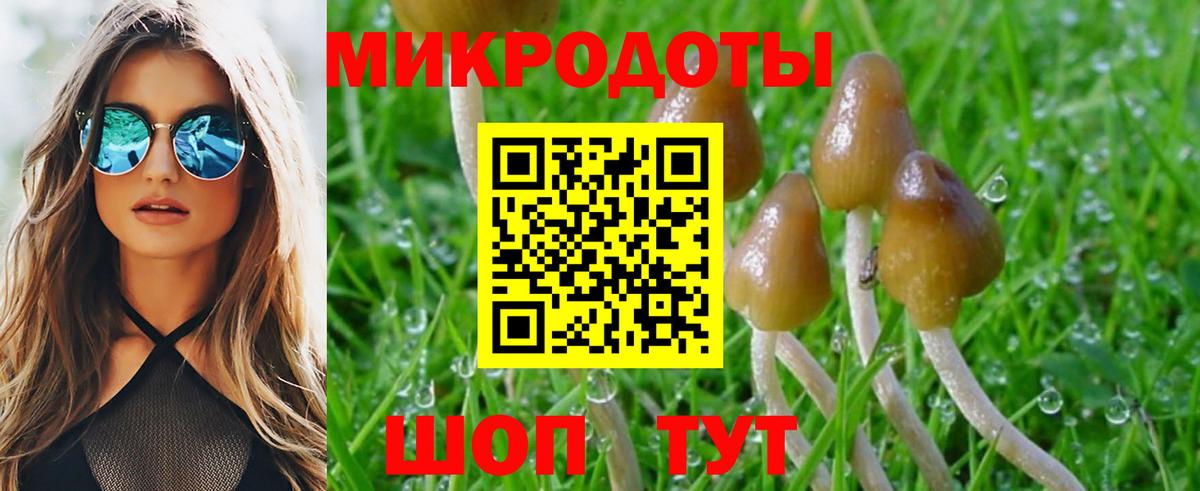 Псилоцибиновые грибы Psilocybine cubensis  Вход с VPN  Галлюциногенные грибы Psilocybe  Новоуральск 